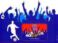 Card abbonamenti Vigor 2014-15