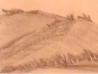 Incisione di Luciano Casaroli