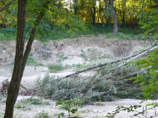 L'erosione degli argini del fiume Misa ad agosto 2014