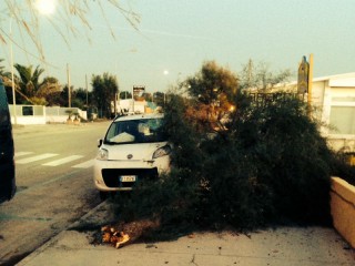 Incidnete sul lungomare senigalliese