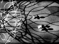 foto Lorenzo Cicconi Massi