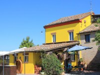 Il ristorante Ruspantino a Senigallia