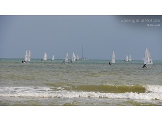 egata zonale valida per le selezioni al campionato nazionale e zonale Assolaser e per l'Italia Cup 2014 svolta a Senigallia nello specchio d'acqua antistante l'Associazione Velica di Senigallia - AVS