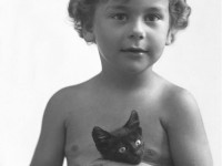 Archivio Cingolani-Giovenali 048 rit a