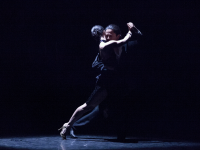 Romeoy Juliet_ by NaturalisLabor_web (Custom) (1)