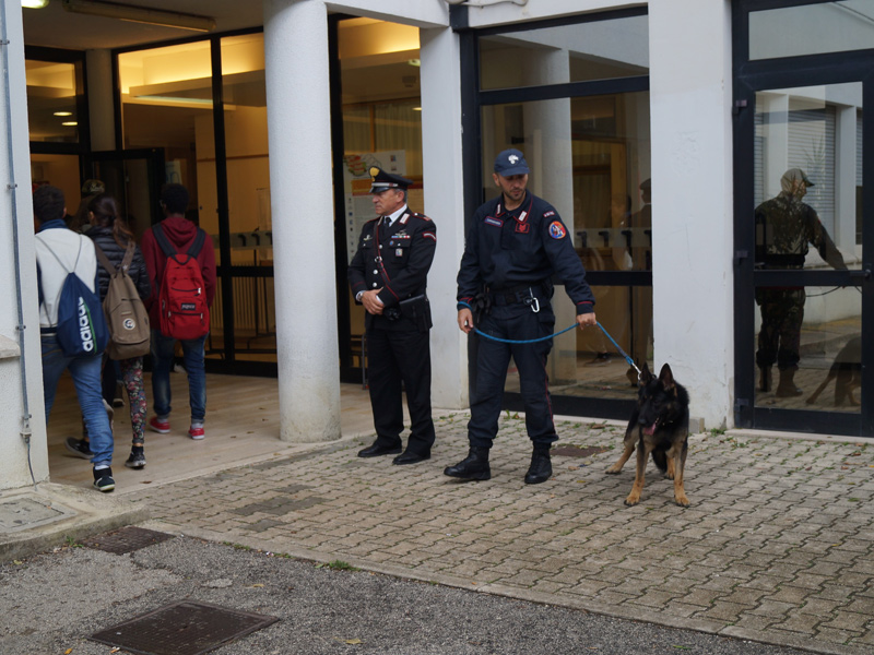 Controlli antidroga dei Carabinieri nelle scuole di Senigallia