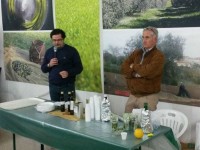 Festa Olio Nuovo, corso assaggio oliva