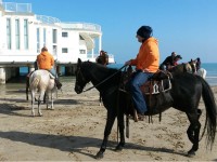 Cavallo sulla spiaggia di Senigallia