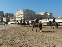 Cavalli e cavalieri sul litorale di Senigallia