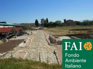 Citta romana Suasa-FAI