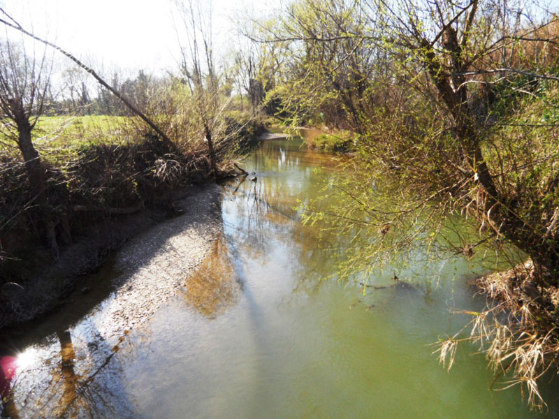Il fiume Misa nell'entroterra di Senigallia