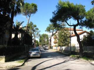 I filari di alberi e i "vuoti" in via La Marca a Senigallia
