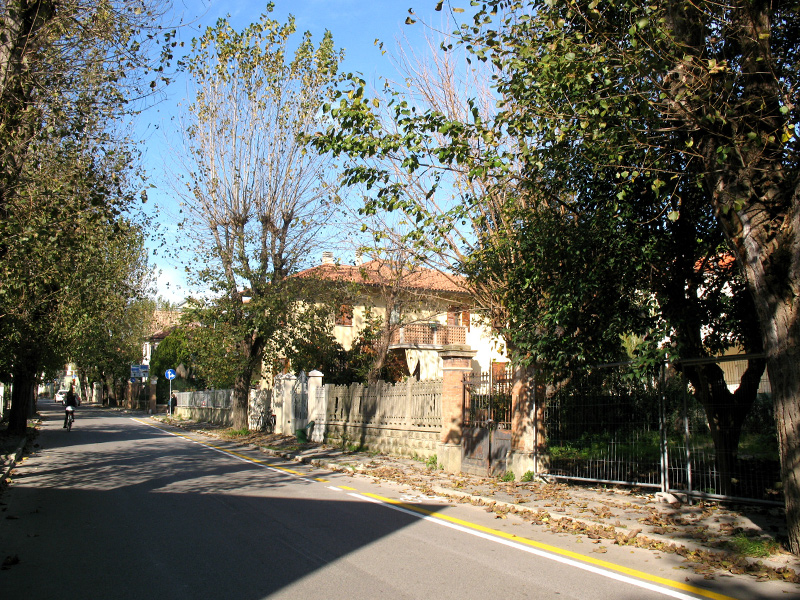 I filari di alberi e i "vuoti" in via Mercantini a Senigallia