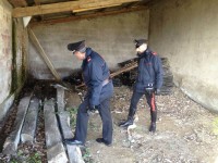 Ispezione dei Carabinieri in un casolare abbandonato a Senigallia