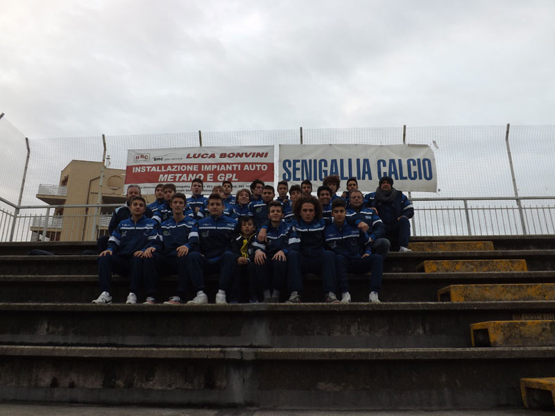 Juniores Senigallia Calcio