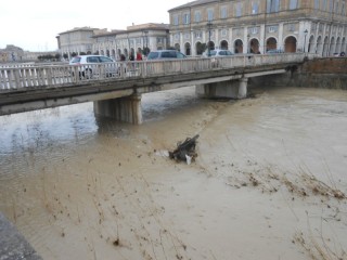 Livello del Misa 25 febbraio 2015