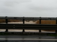 Fiume Cesano ingrossato dalle piogge del 4 e 5 marzo 2015