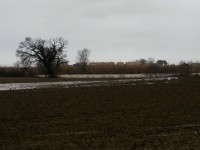 Fiume Cesano ingrossato e campi allagati dalle piogge del 4 e 5 marzo 2015