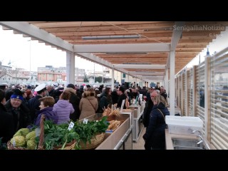 Inaugurazione della nuova pescheria al porto (piaz.le N.Bixio) di Senigallia