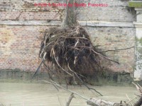 Le operazioni di rimozione