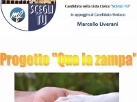 "Qua la zampa", progetto di Nuova Senigallia