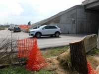 Albero a Montemarciano: l'auto danneggiata