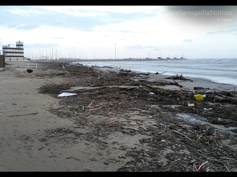 Enormi quantità di detriti sulla spiaggia di velluto dopo il maltempo del 5-6 marzo 2015 a Senigallia