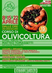 Corso di olivicoltura organizzato dal mercato bio Mezza Campagna - locandina
