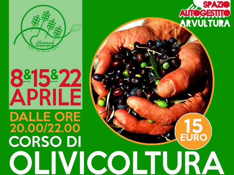 Corso di olivicoltura organizzato dal mercato bio Mezza Campagna