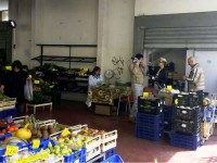 Il mercato di Grottammare