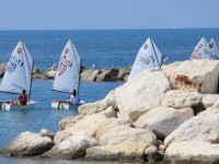 Vela: classe Optimist a Senigallia