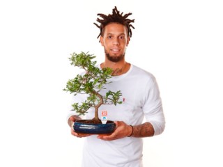 Daniel Hackett testimonial della campagna "Un bonsai per Anlaids"