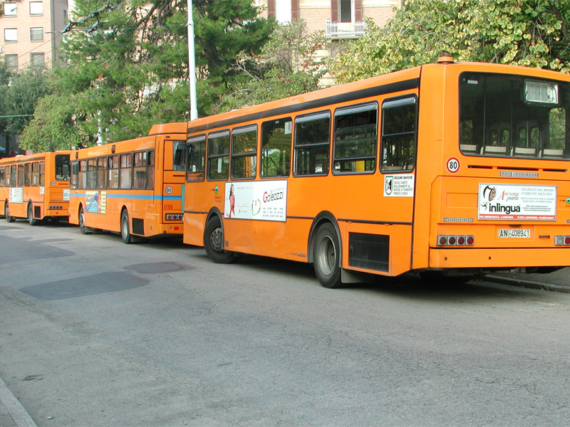 Autobus Ancona