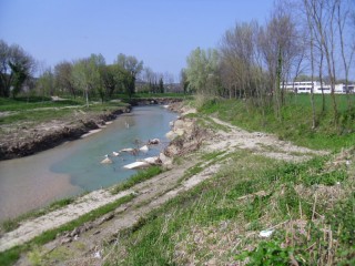Il fiume Misa dopo le pulizie di inizio 2015