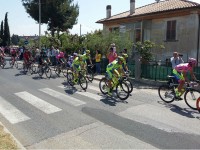 La maglia rosa Alberto Contador a Senigallia