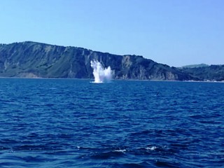 Ordigno fatto brillare