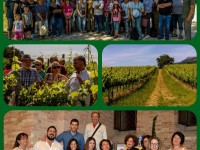 Gli abitanti di Markt Schwaben alla scoperta di Ostra, del territorio e del buon vino