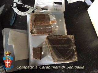 L'hashish recuperata dai Carabinieri di Senigallia a Pianello di Ostra