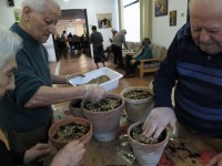 Laboratorio di ortobotanica alla casa di riposo "Lavatori – Mariani" di Ripe