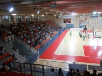 PalaPanzini, tifosi Pallacanestro Senigallia