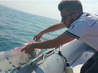 Pescato gettato in mare