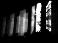 Una delle foto di Massimo Renzi esposte al Teatro La Vittoria di Ostra