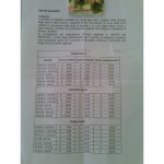 Tariffe servizio trasporto scolastico