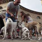 Passeggiandog 2015 a Senigallia