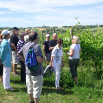 Visita ad azienda agricola nelle Terre di Frattula