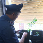 Droga e materiali per il confezionamento sono stati rinvenuti e sequestrati dai Carabinieri di Senigallia