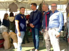 nuova sistemazione del mercato