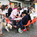 La raccolta firme durante i referendum promossi da Possibile