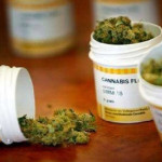 farmaci cannabinoidi, Cannabis terapeutica