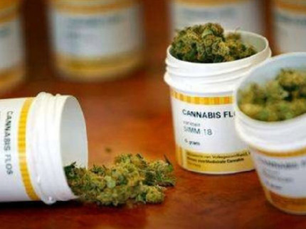 farmaci cannabinoidi, Cannabis terapeutica